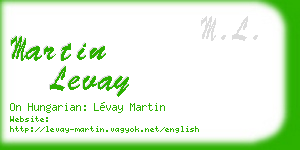 martin levay business card
